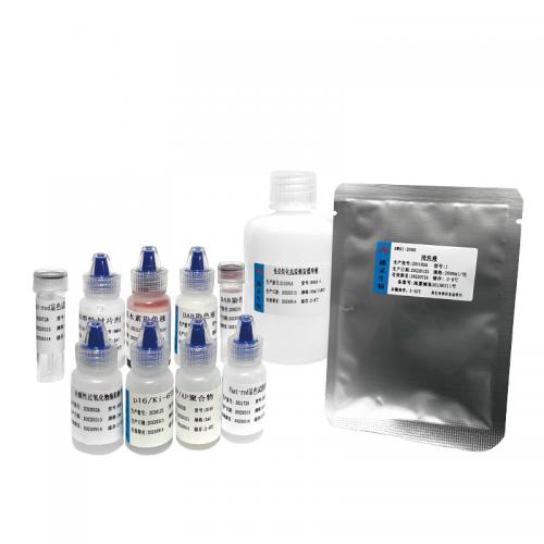 p16/Ki-67检测试剂盒（免疫细胞化学法）